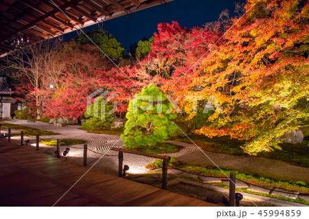南禅寺 天授庵 秋のライトアップ 45994859