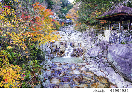 秋の大石公園 45994982