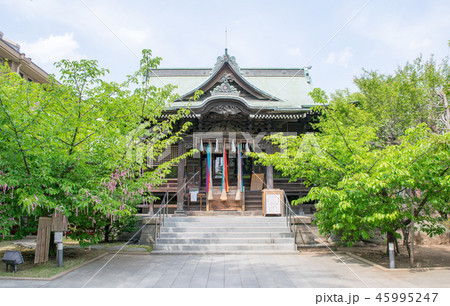 東京都 世田谷区 桜神宮 拝殿 東京都 世田谷区 桜神宮 拝殿 45995247