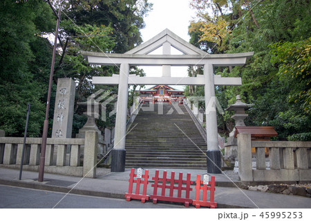 東京都 千代田区永田町 山王日枝神社 正門鳥居と山王男坂 東京都 千代田区永田町 山王日枝神社 正門鳥居と山王男坂 45995253