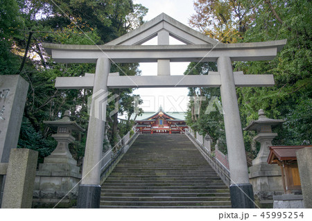 東京都 千代田区永田町 山王日枝神社 正門鳥居と山王男坂 東京都 千代田区永田町 山王日枝神社 正門鳥居と山王男坂 45995254