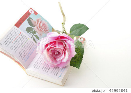 花ことば 花ことば 45995841