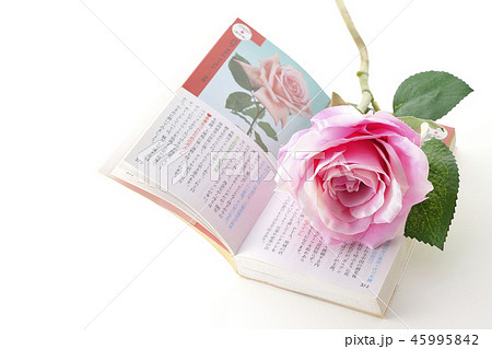 花ことば 花ことば 45995842
