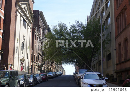 ニューヨーク西121丁目の街路樹のアーチ 45995848