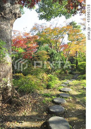 薬師寺　　東京都足立区伊興 45996158