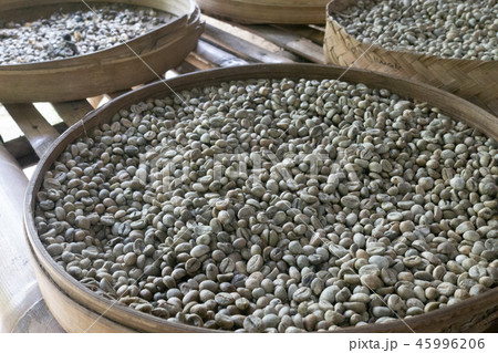 コピルアック コピルアック 45996206