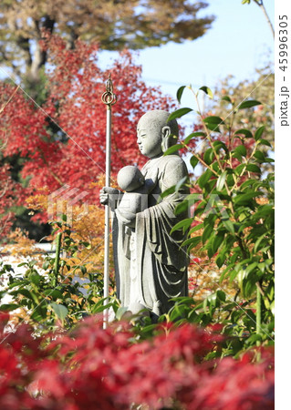 薬師寺 母子観音 東京都足立区伊興 薬師寺 母子観音 東京都足立区伊興 45996305
