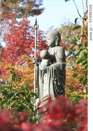 薬師寺 母子観音 東京都足立区伊興 薬師寺 母子観音 東京都足立区伊興 45996306
