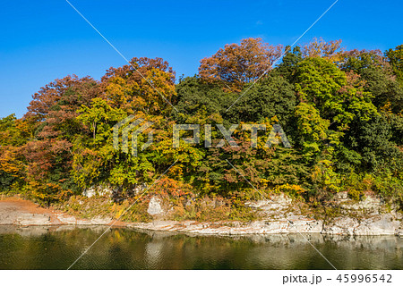 秋の長瀞 岩畳の風景 秋の長瀞 岩畳の風景 45996542