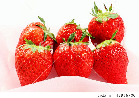 スカイベリー スカイベリー 45996706