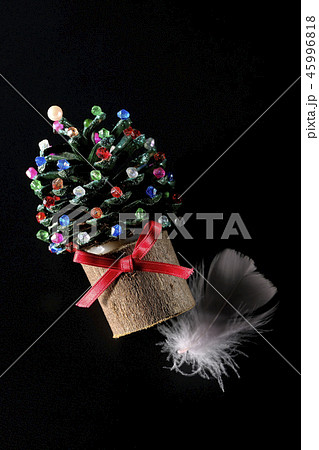 天使のメリークリスマス 天使のメリークリスマス 45996818