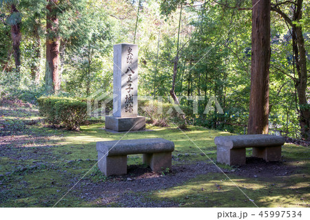八王子城山　八王子城跡（国指定史跡）　登山道　管理事務所 45997534