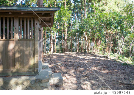 八王子城山　八王子城跡（国指定史跡）　本丸跡 45997543
