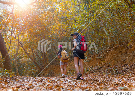 Autumn nature hiker team young women walking 45997639