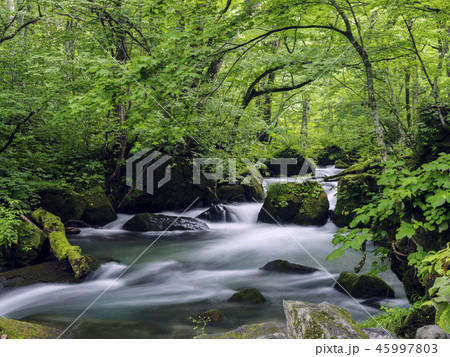 夏の奥入瀬渓流（青森県） 45997803