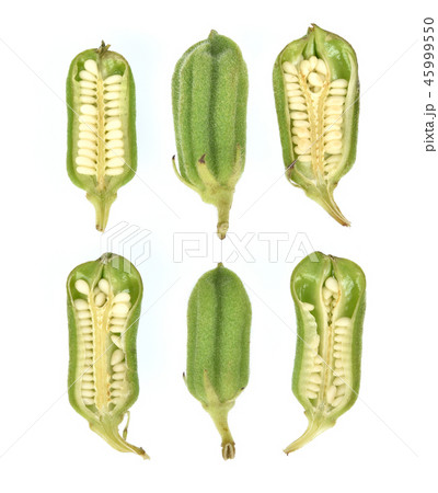 Top view of White sesame  on white background. 45999550