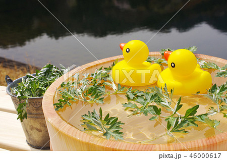 アヒルの入浴 46000617