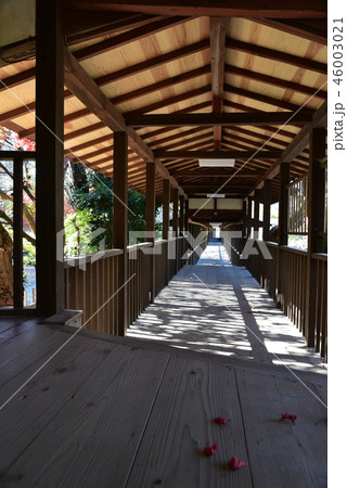 松戸本土寺 渡り廊下 松戸本土寺 渡り廊下 46003021