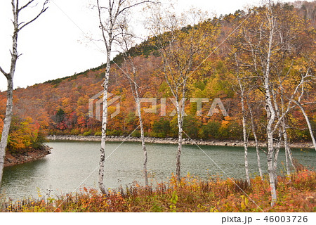 琵琶池湖畔 46003726