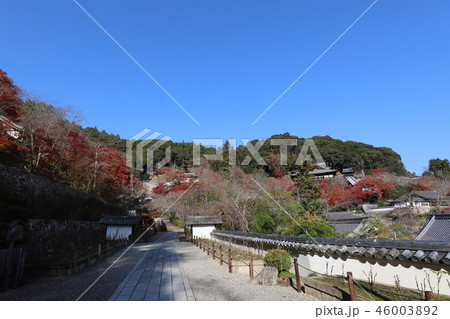 奈良県 長谷寺の紅葉 奈良県 長谷寺の紅葉 46003892