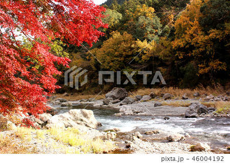 秋の多摩川清流(3) 秋の多摩川清流(3) 46004192