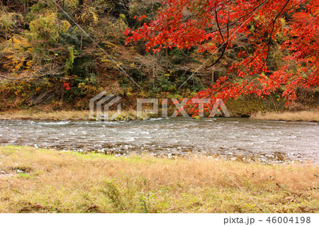 秋の多摩川清流(5) 秋の多摩川清流(5) 46004198