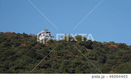 岩国城(麓より撮影) 岩国城(麓より撮影) 46004403
