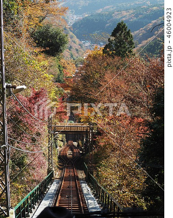 丹沢大山　ケーブルカーからの景色 46004923