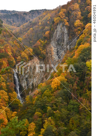 澗満滝 46004991