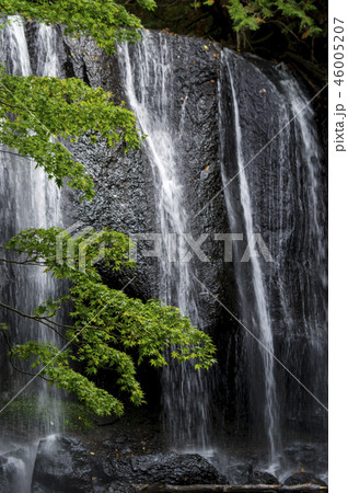 達沢不動滝 46005207