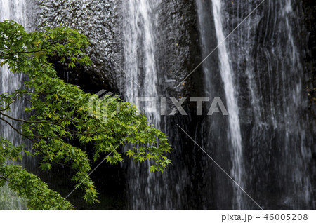 達沢不動滝 46005208