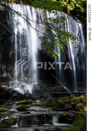 達沢不動滝 46005220