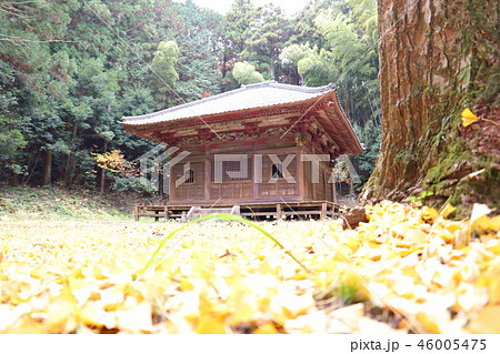 薬王山長楽寺 茨城県石岡市龍明 薬王山長楽寺 茨城県石岡市龍明 46005475