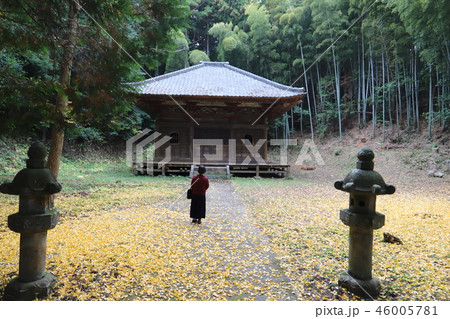 薬王山長楽寺、　　茨城県石岡市龍明 46005781