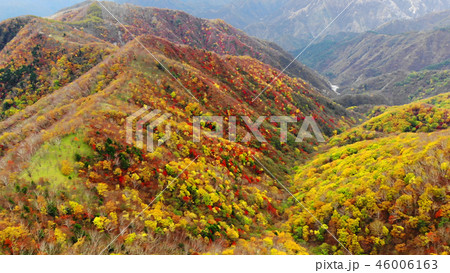 中禅寺湖の紅葉 46006163