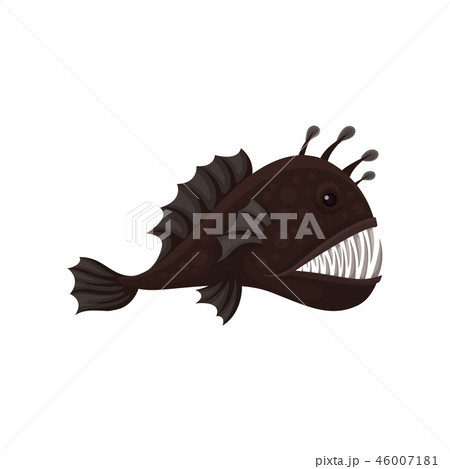 Flat Vector Icon Of Fangtooth Fish Side View のイラスト素材