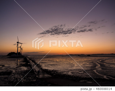 弾道項 日没 ビーチ 46008014