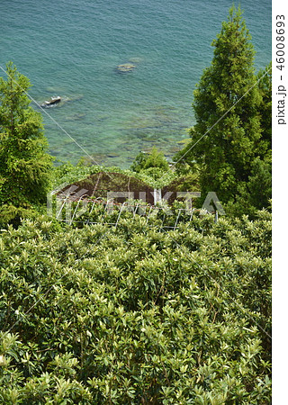 【長崎県】ビワ畑と海岸 46008693