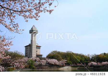 春の尾張旭市 都市風景 春の尾張旭市 都市風景 46011928