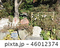 神祇大社　縁結び 46012374