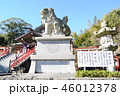 神祇大社　狛犬 46012378