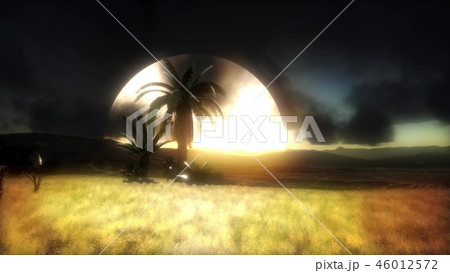 Silhouette of palm trees and a beautiful sunset  46012572