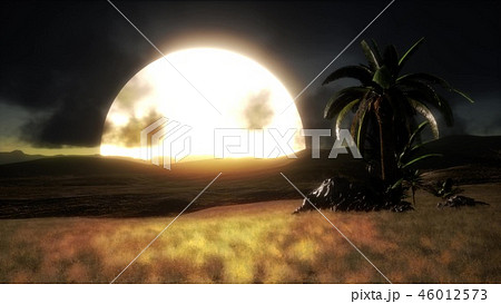 Silhouette of palm trees and a beautiful sunset  46012573