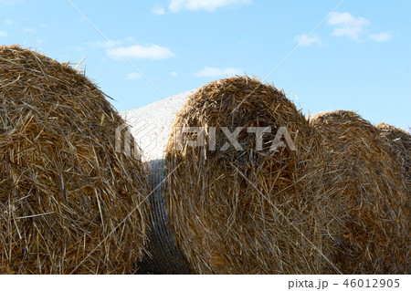 bales on hay after harvest. autumn. photo 46012905