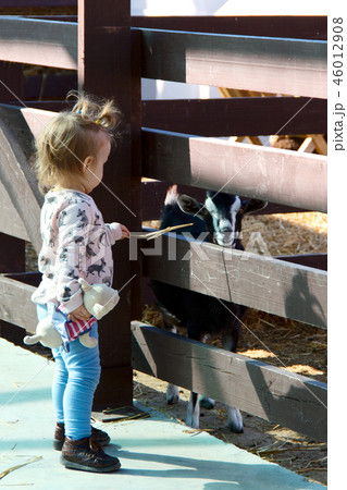 girl with goat in a farm. photo girl with goat in a farm. photo 46012908
