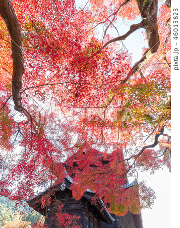 秋の南禅寺 秋の南禅寺 46013823