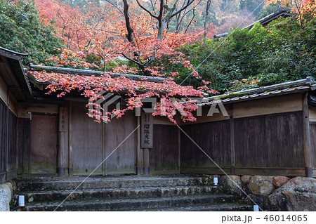 秋の瑠璃光院 秋の瑠璃光院 46014065