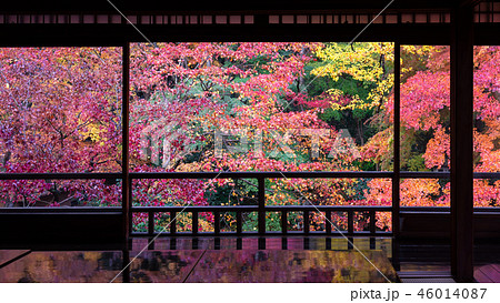 秋の瑠璃光院 秋の瑠璃光院 46014087