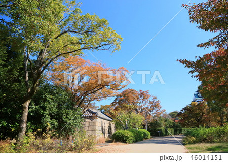 秋の西の丸庭園 秋の西の丸庭園 46014151