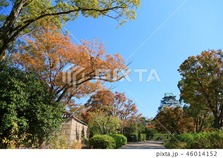 秋の西の丸庭園 秋の西の丸庭園 46014152